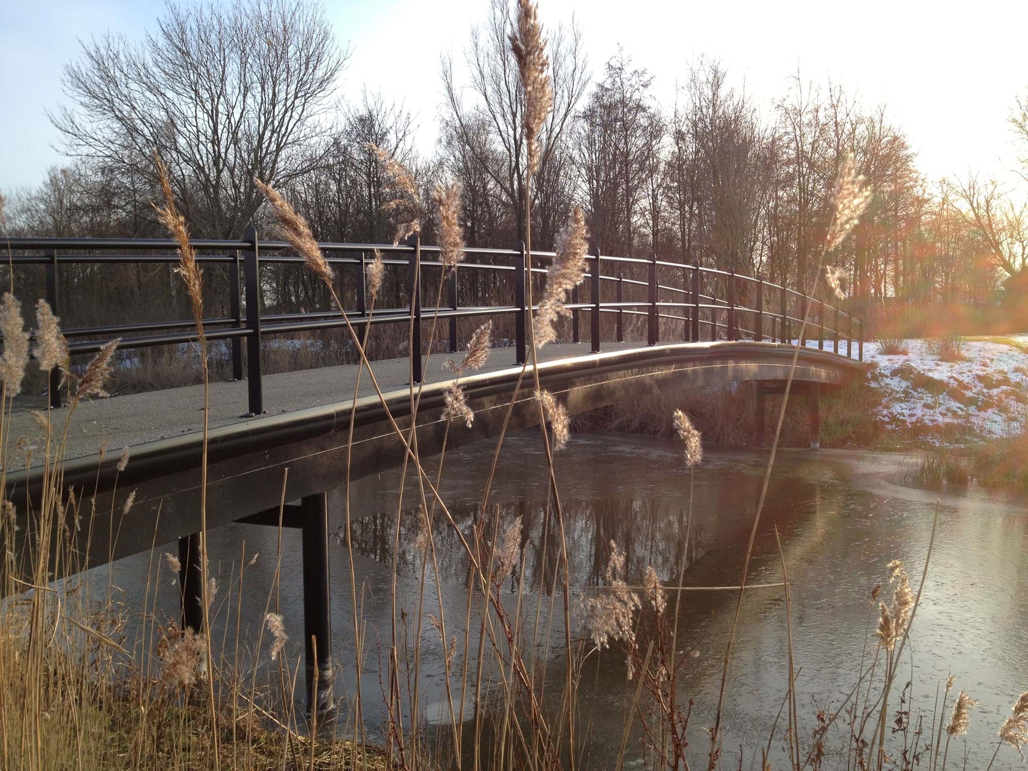 picture of fibreglass bridge in Haasnoot