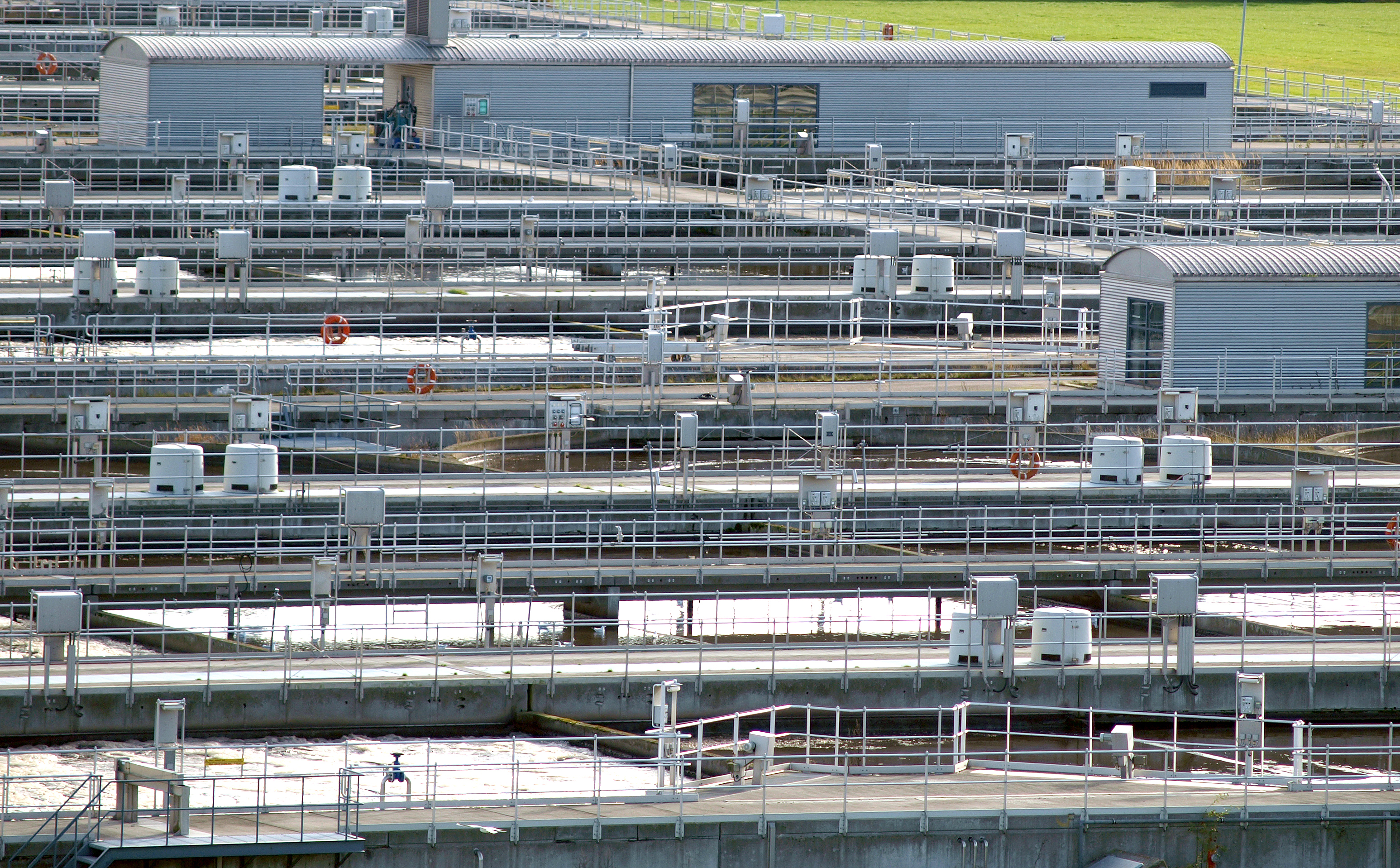 picture of purifying plant