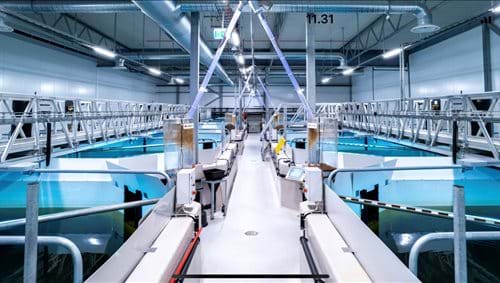 Fish farming facility with Fiberline structural profiles, FRP solutions, and walkways