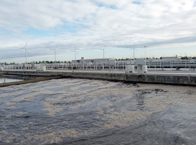 picture of purifying plant
